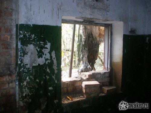 Заброшенный стекольный завод, Новгородская область