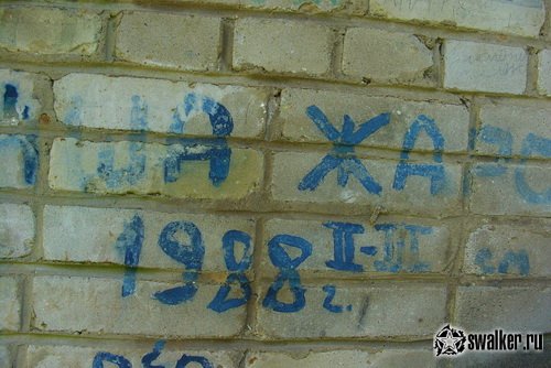 Пионерский лагерь им. С. Орджоникидзе - Лесная поляна