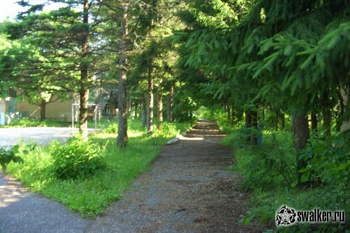 Пионерский лагерь им. С. Орджоникидзе - Лесная поляна Пионерский лагерь им. С. Орджоникидзе - Лесная поляна