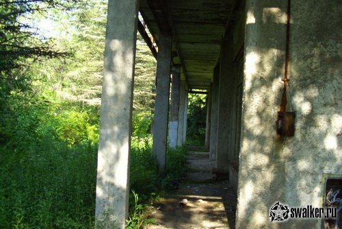 Пионерский лагерь им. С. Орджоникидзе - Лесная поляна Пионерский лагерь им. С. Орджоникидзе - Лесная поляна
