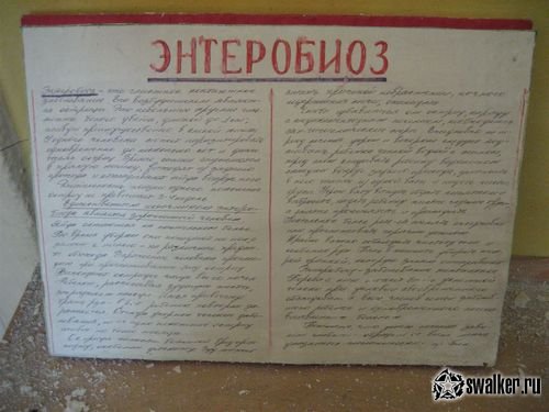 Заброшенный детский сад