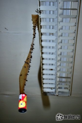 Заброшенное заводоуправление, Свердловская область