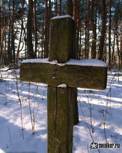 Кладбища Чернобыльской зоны отчуждения Кладбища Чернобыльской зоны отчуждения