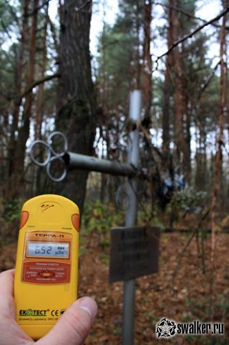 Кладбища Чернобыльской зоны отчуждения Кладбища Чернобыльской зоны отчуждения