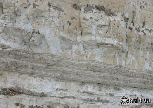 Береговая линия Аральского моря Береговая линия Аральского моря