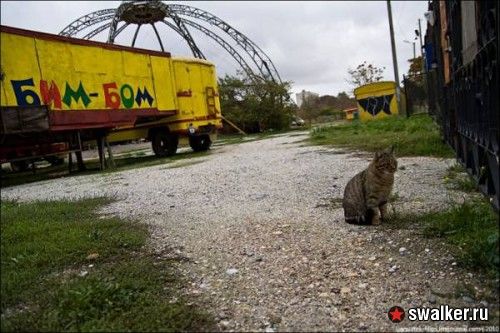 Заброшенный цирк, Севастополь