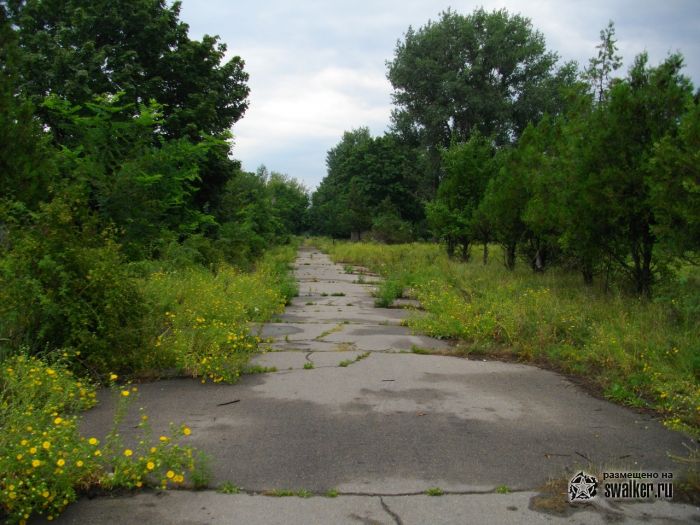 89 отдельный автомобильный батальон (в/ч 45847)