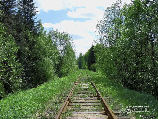 Заброшенные железные дороги