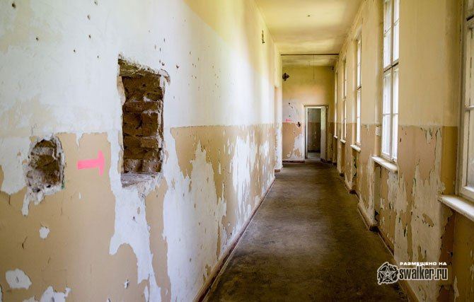 Тайны олимпийской деревни Тайны олимпийской деревни