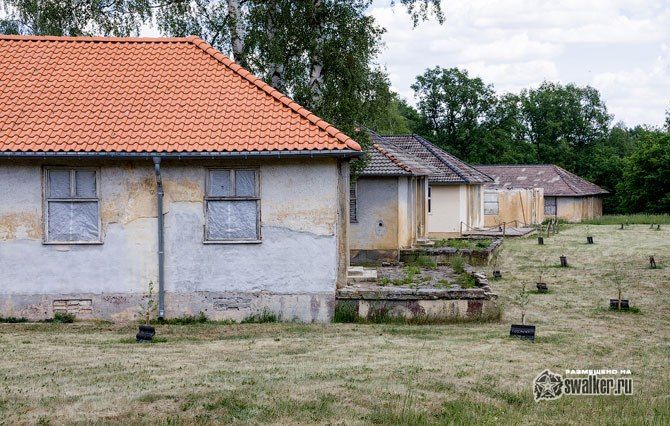 Тайны олимпийской деревни Тайны олимпийской деревни