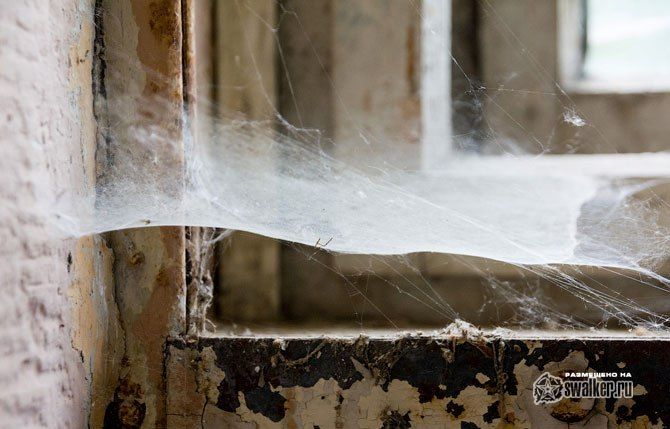 Тайны олимпийской деревни Тайны олимпийской деревни