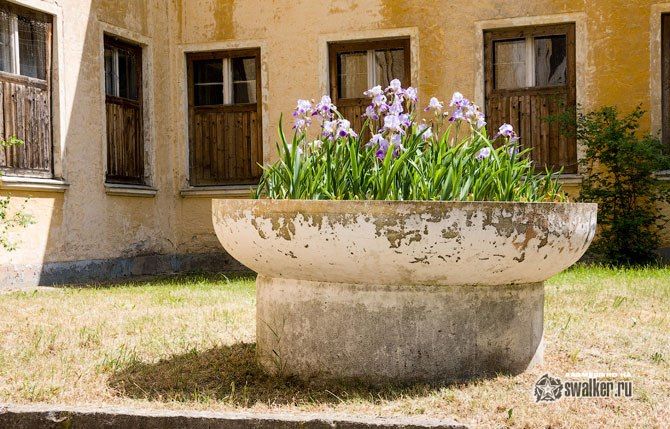 Тайны олимпийской деревни Тайны олимпийской деревни