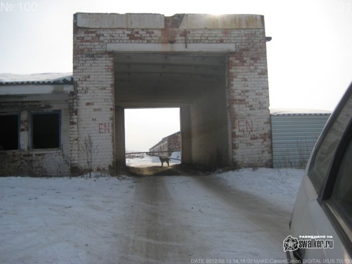Полу заброшенный сельхоз в Каменск-Уральском Полу заброшенный сельхоз в Каменск-Уральском