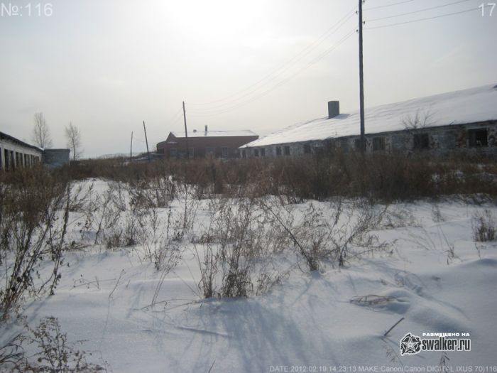 Полу заброшенный сельхоз в Каменск-Уральском Полу заброшенный сельхоз в Каменск-Уральском