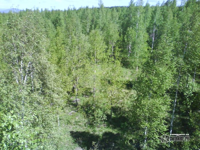 Просторы Среднего урала Просторы Среднего урала