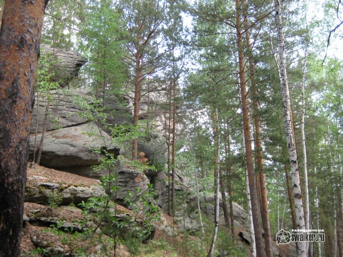 Просторы Среднего урала Просторы Среднего урала