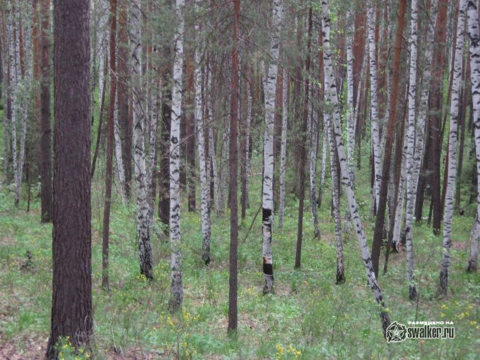 Просторы Среднего урала Просторы Среднего урала