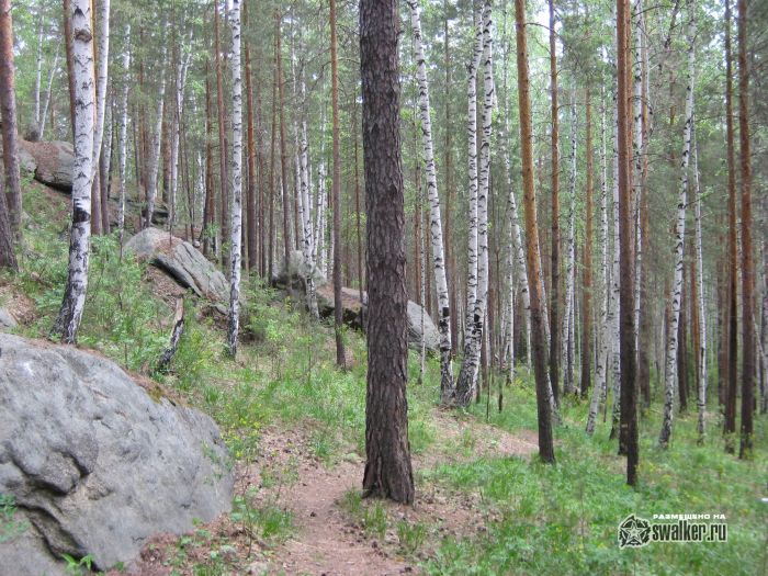 Просторы Среднего урала Просторы Среднего урала