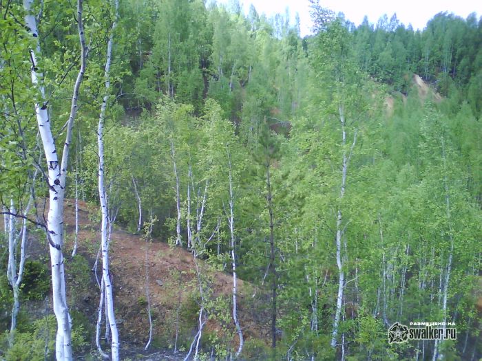 Просторы Среднего урала Просторы Среднего урала