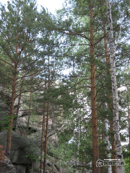 Просторы Среднего урала Просторы Среднего урала