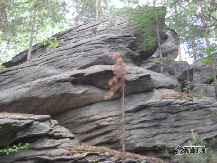 Просторы Среднего урала Просторы Среднего урала