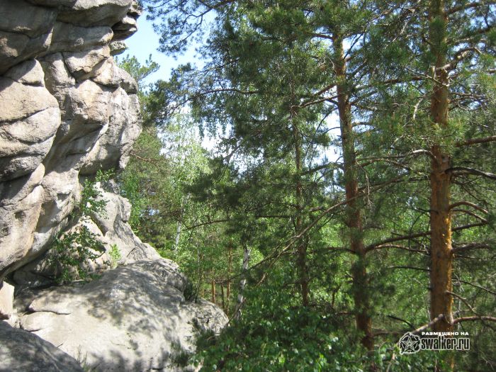 Просторы Среднего урала Просторы Среднего урала