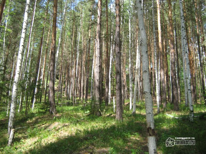 Просторы Среднего урала Просторы Среднего урала