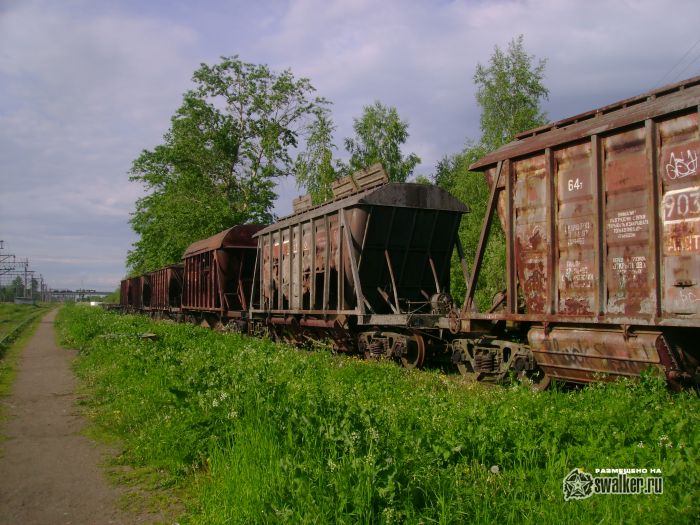 Брошенный состав на заржавленных путях