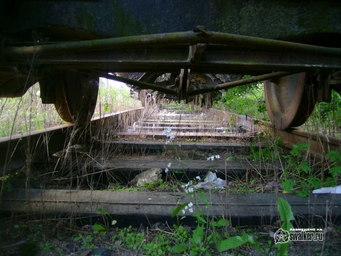 Брошенный состав на заржавленных путях