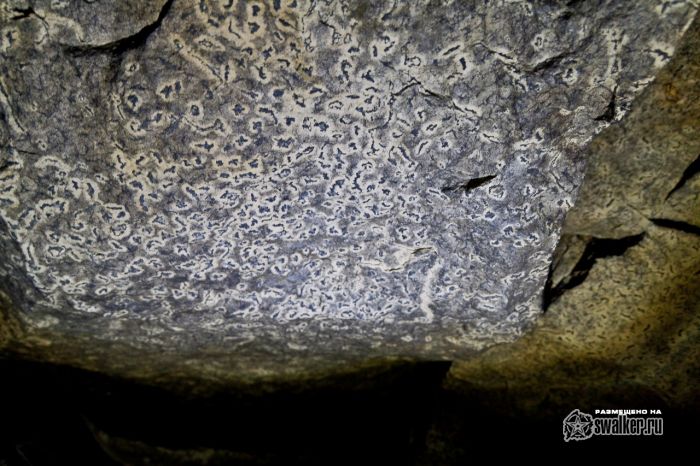 Дети подземелья