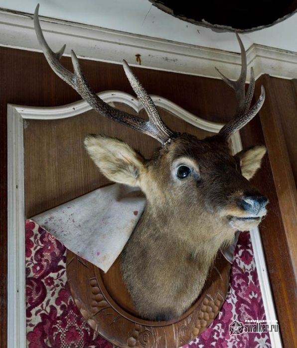 Заброшенный love-отель в Японии