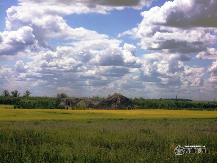 В жёлтом мире В жёлтом мире