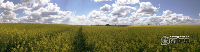 В жёлтом мире В жёлтом мире