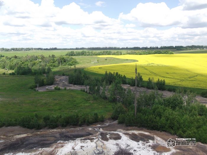 В жёлтом мире В жёлтом мире