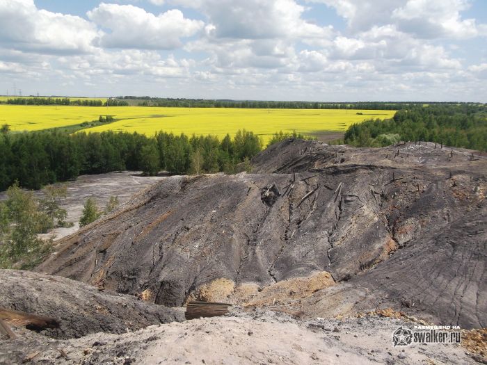 В жёлтом мире В жёлтом мире