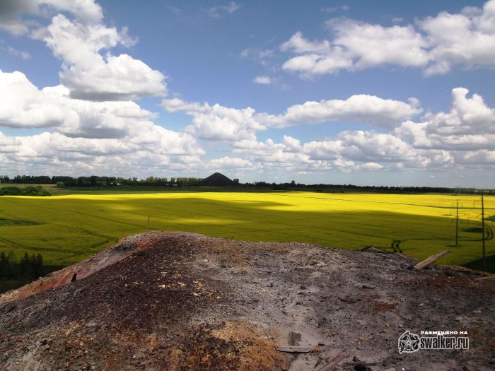 В жёлтом мире В жёлтом мире