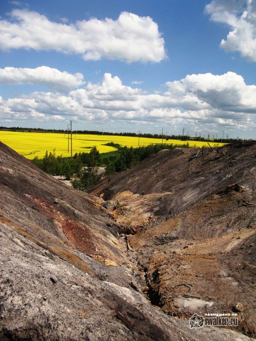 В жёлтом мире В жёлтом мире