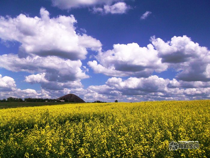 Р&rsquo; Р&para;С&lsquo;Р&raquo;С&sbquo;РѕРј РјРёСЂР&micro;