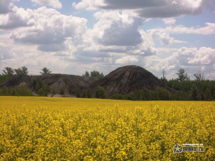 Р&rsquo; Р&para;С&lsquo;Р&raquo;С&sbquo;РѕРј РјРёСЂР&micro;