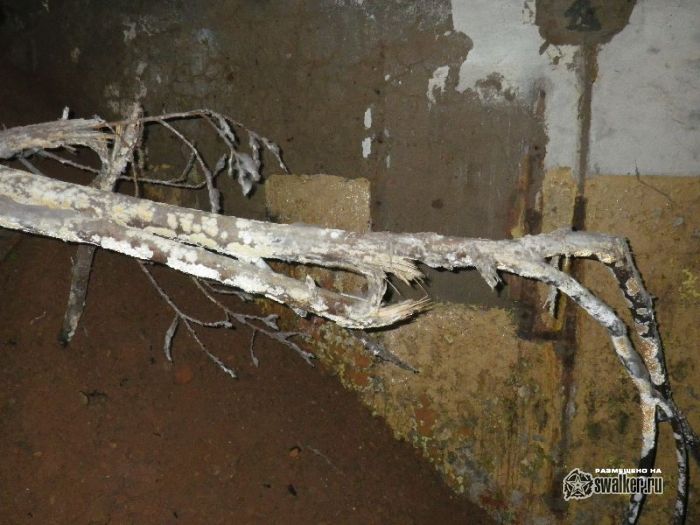 Заброшенная БСП-1 723 ракетного полка 52 ракетной дивизии.