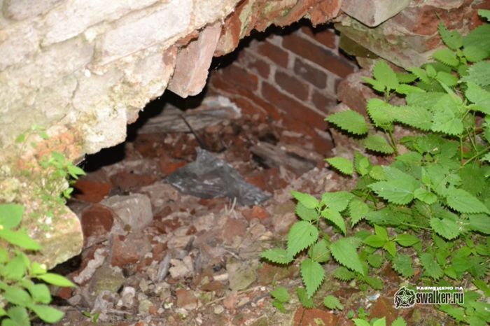 Усадьба Молоди, Московская область