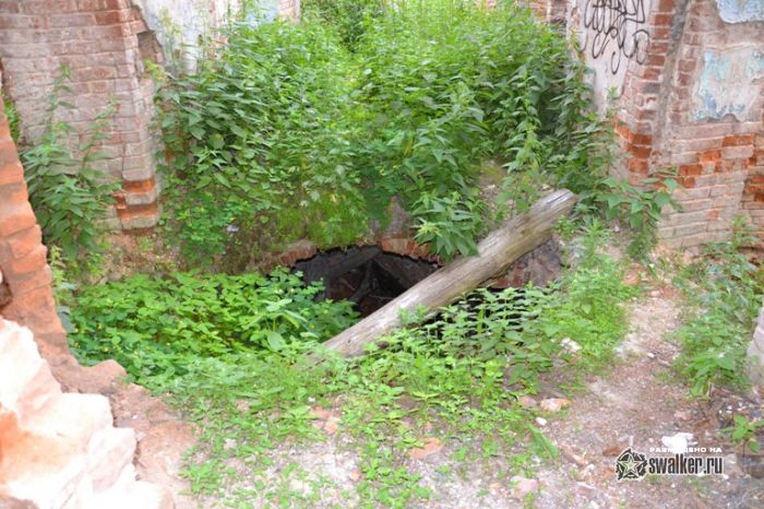 Усадьба Молоди, Московская область