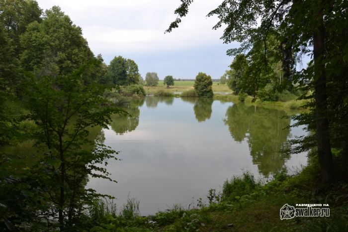 Усадьба Молоди, Московская область