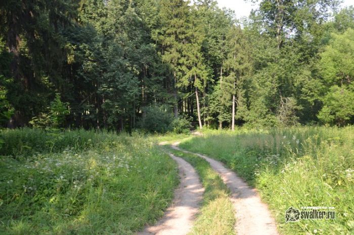 Усадьба Молоди, Московская область