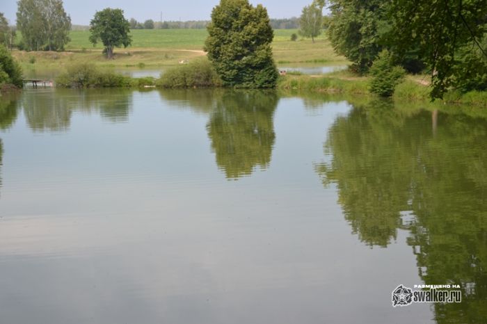 Усадьба Молоди, Московская область
