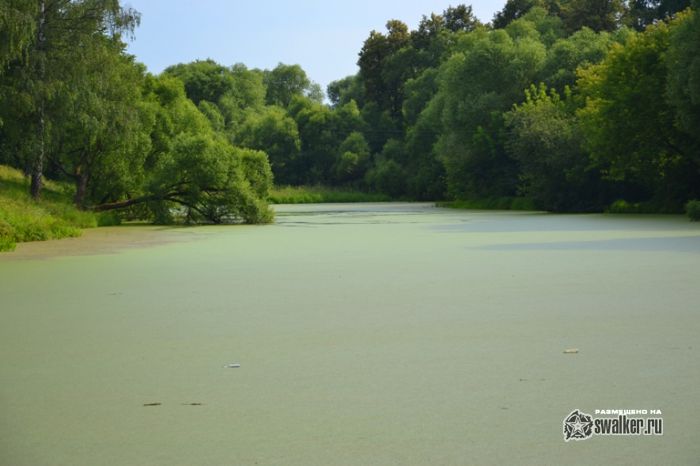 Усадьба Молоди, Московская область
