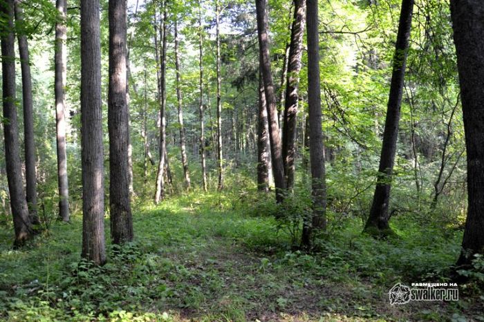 Усадьба Молоди, Московская область