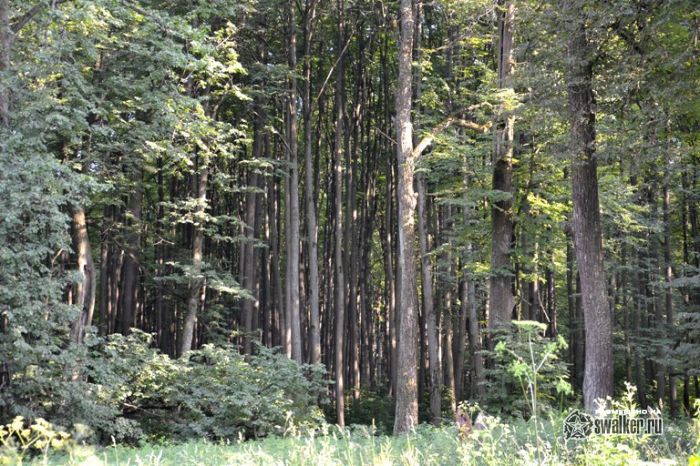 Усадьба Молоди, Московская область