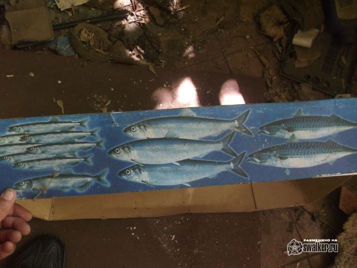 Заброшенная шахта, Тульская область