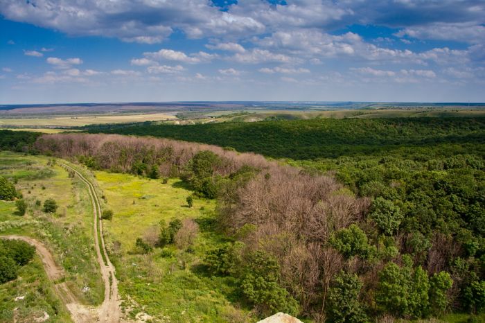 Заброшенный элеватор, Воронежская область Заброшенный элеватор, Воронежская область
